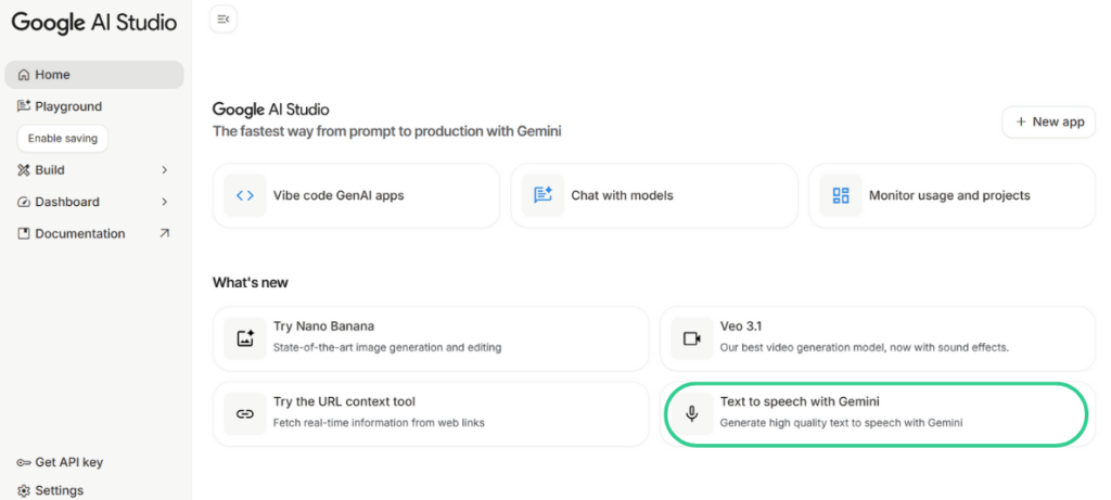 Text to speech with Gemini